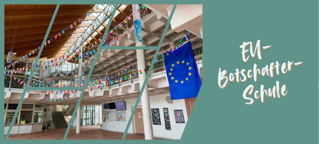 Basis-Informationen-3